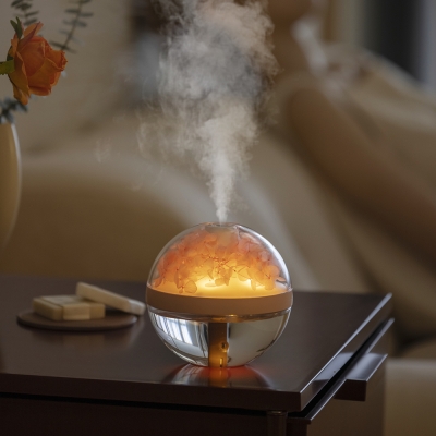 J225 Eternal flower humidifier